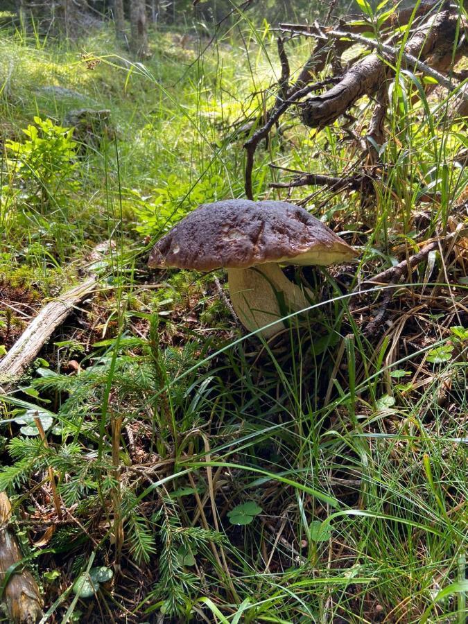 Holzknechthuette